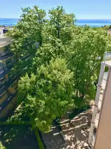 Holiday Park - All Inclusive - 77