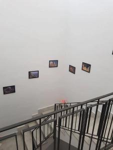The Artists - 17