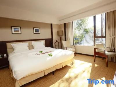 Conifer Lishui Sunlight - 50