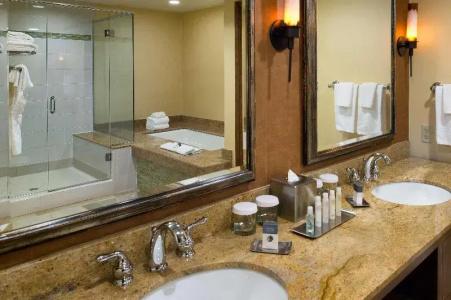 DoubleTree by Hilton Seattle Airport - 27
