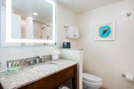 Holiday Inn Orlando – Disney Springs™ Area, An Ihg - 113