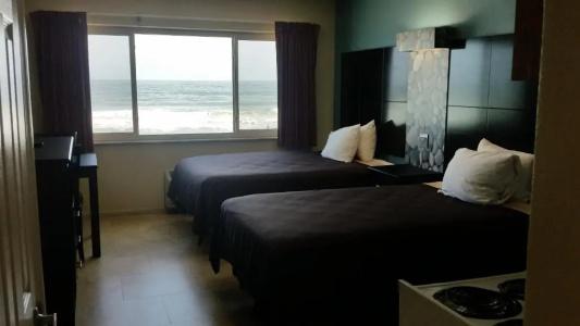Driftwood Beach - 131