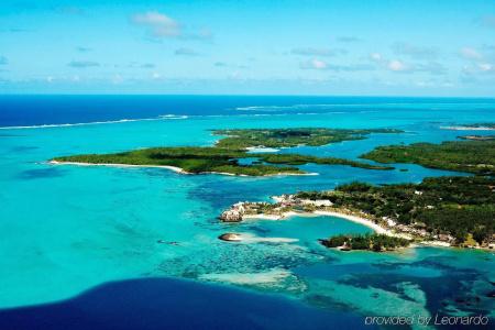 Tropical Attitude (Adults Only) - 23
