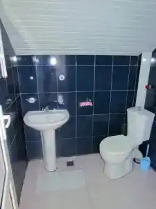 Old House - 8