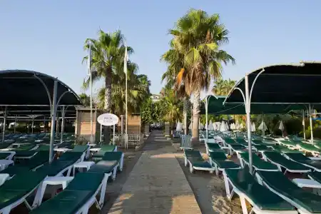 Trendy Palm Beach - 29