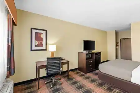 Quality Inn & Suites Airport - 45