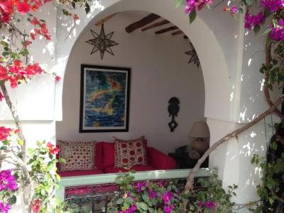 Riad Timila - 29