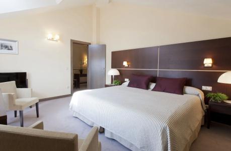 Palacio de los Blasones Suites - 1