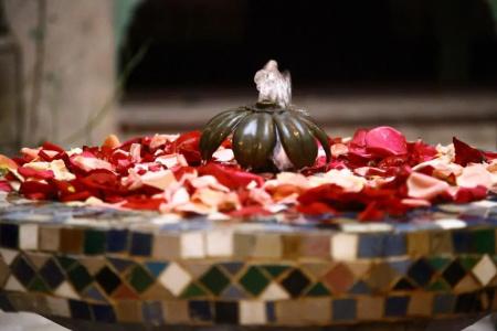 Riad Swaka - 6