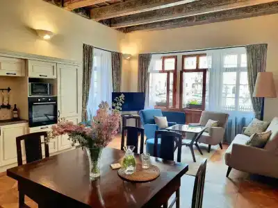 Residence U Mecenáše - 105