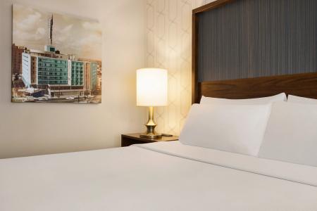 The American Atlanta Downtown-a Doubletree by Hilton - 3