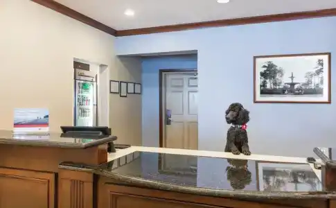Staybridge Suites Savannah Historic District, an IHG - 16