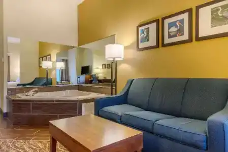 Comfort Suites - 38