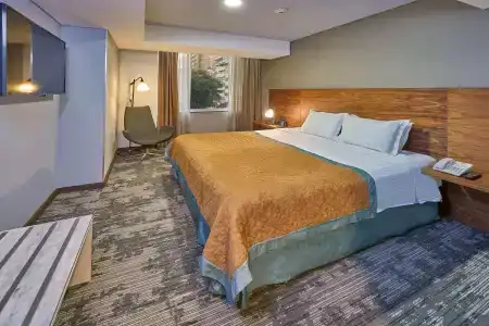 Wyndham Garden Mexico City - Polanco - 31