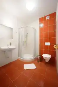 Záviš z Falkenštejna - 4