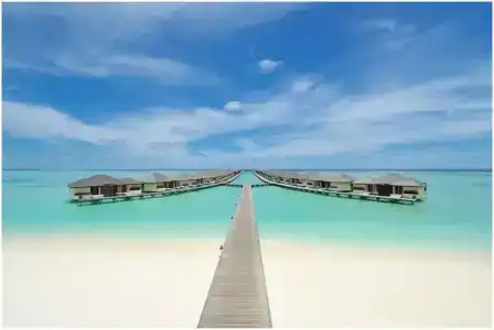 Paradise Island Resort & Spa - 71