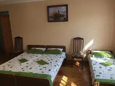 Эльвира - 4