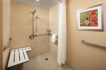 Holiday Inn Austin -Town Lake, An Ihg - 7