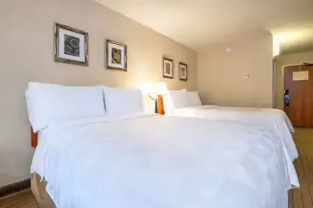 Allure & Conference Centre, Ascend Collection - 5