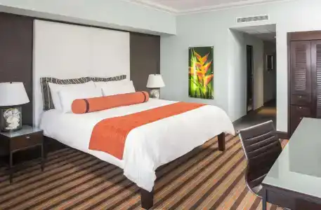The Palms & Spa - 16