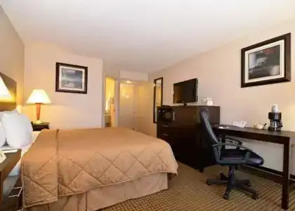 Comfort Inn 290/Nw - 5