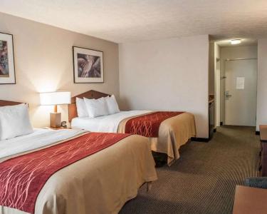 Comfort Inn Indianapolis South I-65 - 4