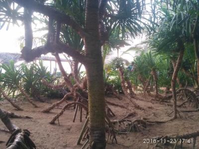 Ravana - Beach Cabanas - 22