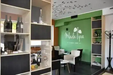 Guest House Mlada lipa - 19