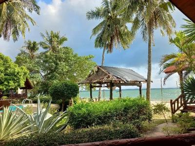 Morning Star Resort - 78