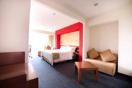 Holiday Inn Express Guadalajara Expo, An Ihg - 95