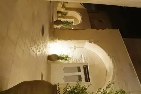 Caveoso - 25