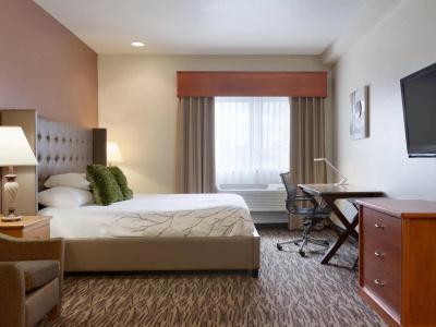 Best Western Plus Peppertree Airport Inn - 54