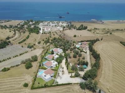 Chriseleni Latchi Villas - 13