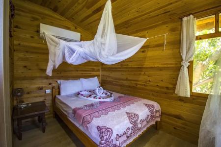 Full Moon Camp - 1