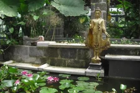 La Gallina Felice b&b - 4
