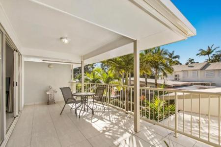 Noosa River Palms - 46