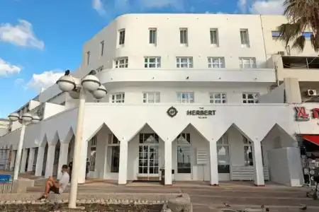 The Herbert - 19