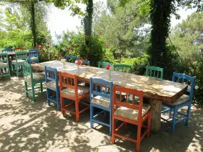 Faralya Botanica - 7