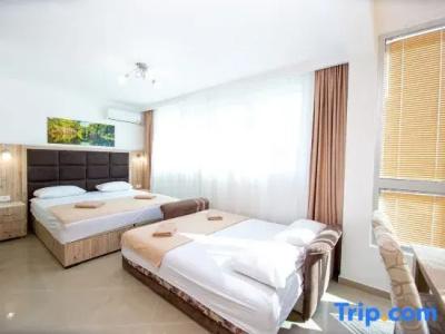 Apartment Sofija - 207