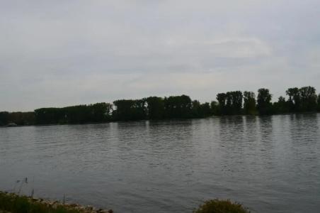 Zwei Raben Pension - 14