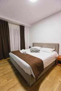 Olivar Tirana - 46