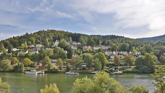 Neckarlux - 11