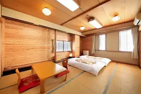 Fujinomiya Green - 43