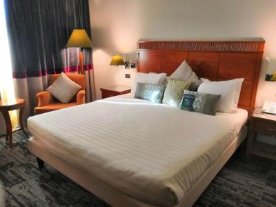 Mercure Leonardo da Vinci Rome Airport - 53