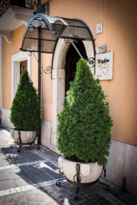 Il Tiglio - 21