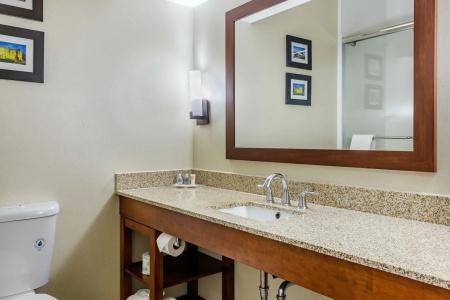 Comfort Suites Walnut Creek - 9