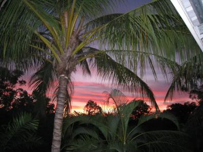 Rydges Palmerston - - 7