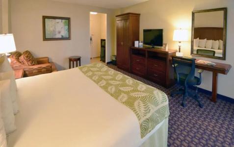 Rosen Inn Closest to Universal - 62