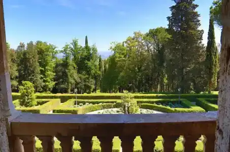 La Collegiata - 71