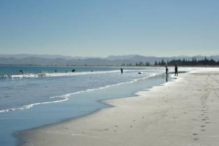 Whispering Sands Beachfront - 32